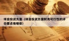 項目投資方案（項目投資方案財務可行性的評價要點有哪些）