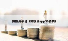 微投資平臺（微投資app30秒的）