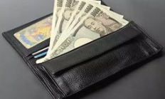 puse錢包,nopay錢包