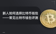 比特幣本地錢包,德國政府錢包地址轉(zhuǎn)出200枚BTC