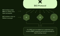 詳解BIO Protocol及DeSci領(lǐng)域項(xiàng)目如何革新科研發(fā)展新范式