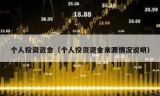 個人投資資金（個人投資資金來源情況說明）