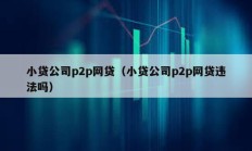 小貸公司p2p網貸（小貸公司p2p網貸違法嗎）