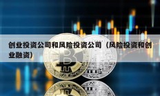 創業投資公司和風險投資公司（風險投資和創業融資）