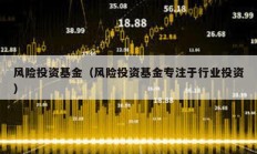 風險投資基金（風險投資基金專注于行業投資）