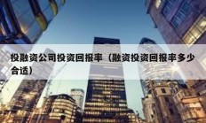 投融資公司投資回報率（融資投資回報率多少合適）