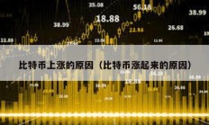 比特幣上漲的原因（比特幣漲起來的原因）