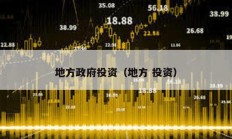 地方政府投資（地方 投資）