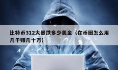 比特幣312大暴跌多少美金（在幣圈怎么用幾千賺幾十萬）