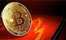 幣網價格,一塵網泰山幣最新價格