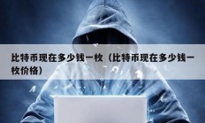 比特幣現在多少錢一枚（比特幣現在多少錢一枚價格）