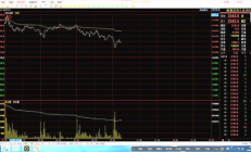 bcc價格行情,bcc今日價格