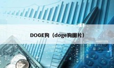 DOGE狗（doge狗圖片）