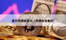 嘉興天使投資人（天使投資集團(tuán)）