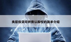 夾層投資可轉(zhuǎn)債認(rèn)股權(quán)的簡單介紹