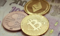 巴克幣交易,pig幣豬幣最新價格