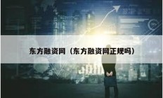 東方融資網（東方融資網正規嗎）