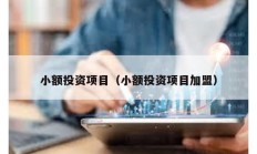 小額投資項(xiàng)目（小額投資項(xiàng)目加盟）