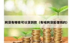 網貸有哪些可以貸到款（有啥網貸能借錢的）