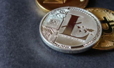 萊特幣價(jià)格預(yù)測,萊特幣2024能漲到多少呢