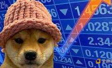 加密世界的神秘大招？揭秘造富風口上的Meme魔力