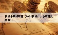 投資小的好項目（2021投資什么小項目比較好）