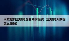 大數據的互聯網企業如何融資（互聯網大數據怎么賺錢）