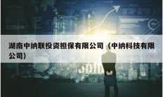 湖南中納聯投資擔保有限公司（中納科技有限公司）