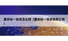 重慶標一投資怎么樣（重慶標一投資有限公司）
