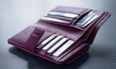 錢包又瘦l,有個錢包app最新版本