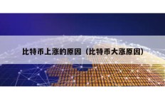 比特幣上漲的原因（比特幣大漲原因）