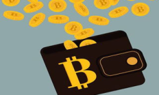 onecoin錢包,ONE萬能錢包