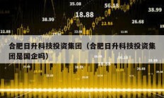 合肥日升科技投資集團（合肥日升科技投資集團是國企嗎）