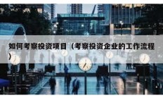 如何考察投資項目（考察投資企業的工作流程）