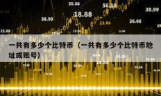 一共有多少個比特幣（一共有多少個比特幣地址或賬號）