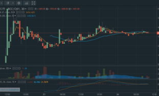 bcc上線價格,bcd幣今日行情