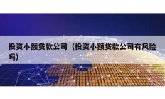 投資小額貸款公司（投資小額貸款公司有風險嗎）