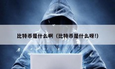 比特幣是什么啊（比特幣是什么呀!）