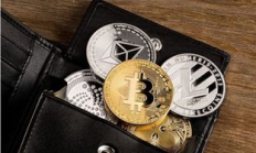 以太坊 錢包 大小,正常錢包的尺寸是多大