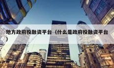 地方政府投融資平臺（什么是政府投融資平臺）