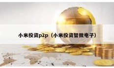 小米投資p2p（小米投資智微電子）