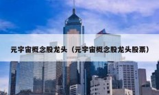 元宇宙概念股龍頭（元宇宙概念股龍頭股票）