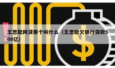 王思聰網貸那個叫什么（王思聰欠銀行貸款500億）