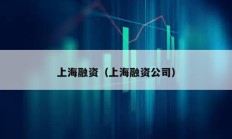 上海融資（上海融資公司）