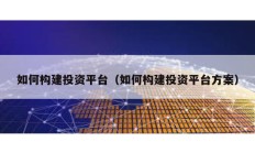 如何構建投資平臺（如何構建投資平臺方案）