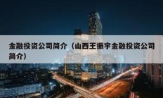 金融投資公司簡介（山西王振宇金融投資公司簡介）