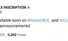 除了ASCT，Avalanche上還有哪些值得關注的銘文項目？