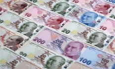 ETV幣價格,雙旗幣價格表