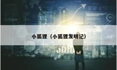 小狐貍（小狐貍發(fā)明記）