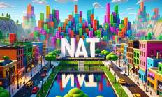 關于 $NAT 與DMT 的一些思考